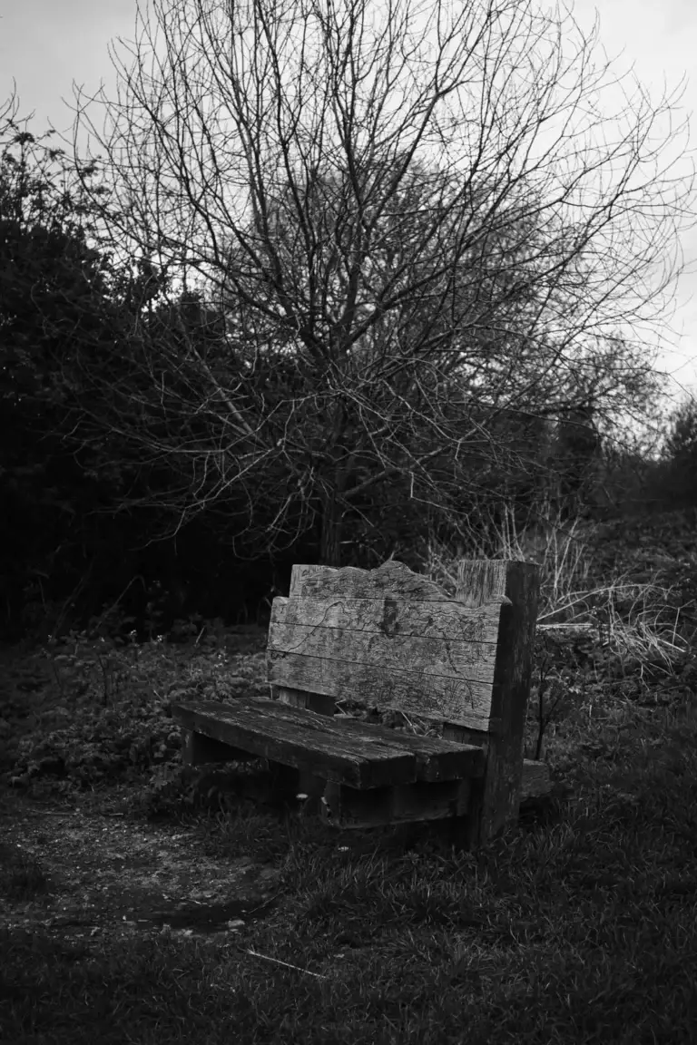 UNSEEN ECHOES - Objects of Domestic Abuse | Photography Project & Exhibition