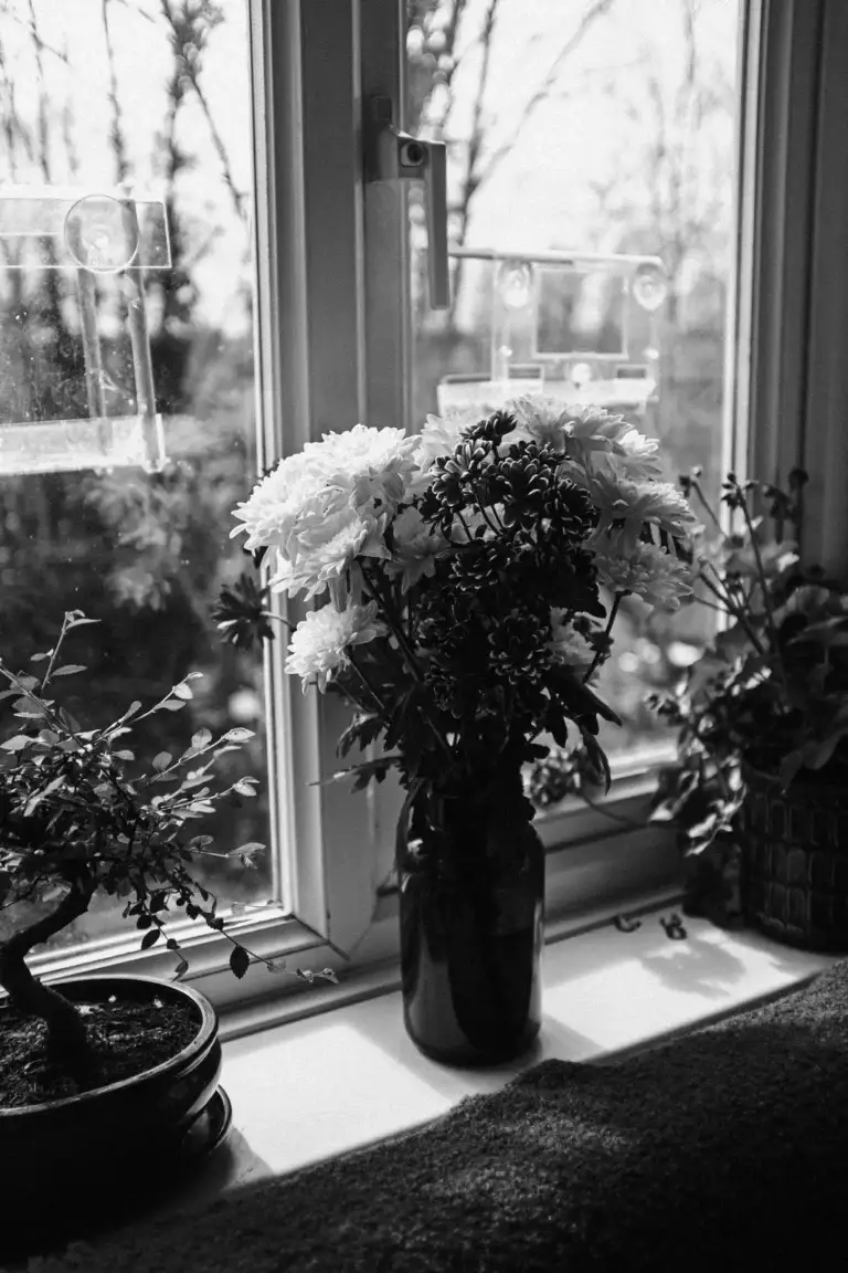 UNSEEN ECHOES - Objects of Domestic Abuse | Photography Project & Exhibition