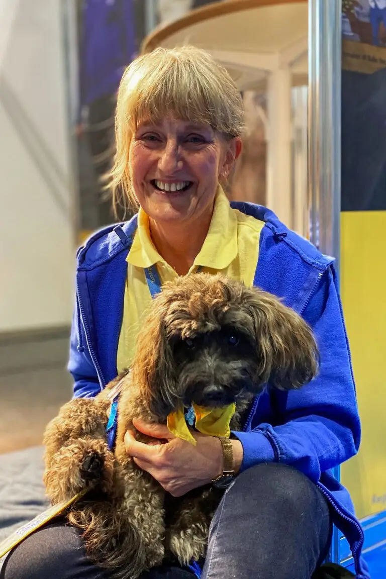 Smiling woman holding a brown dog with a yellow and blue ribbon.