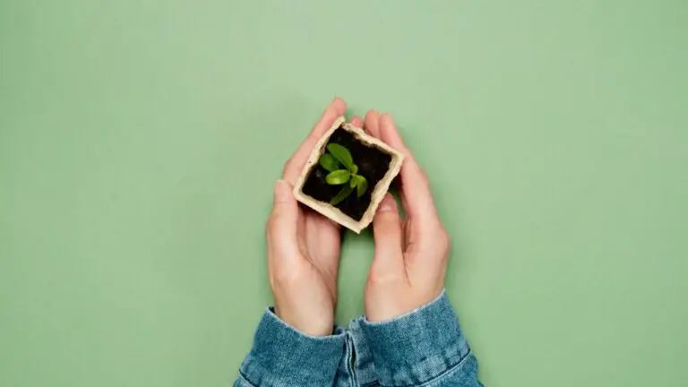 Hands holding a small plant in a pot against a green background.